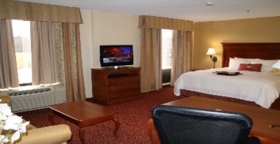 Hampton Inn & Suites - King Studio Suite