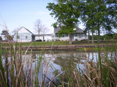 A Chateau on the Bayou - Back Of Home