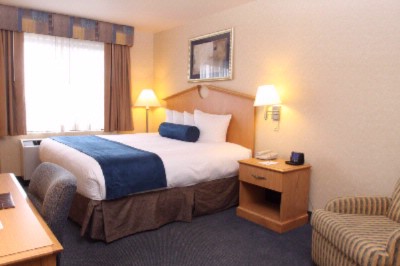 Lexington Marco Laguardia Hotel - Standard King Room