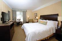 Hilton Garden Inn Nashville / Vanderbilt - Sleep Well In Our Evolution King Equiped With A 32