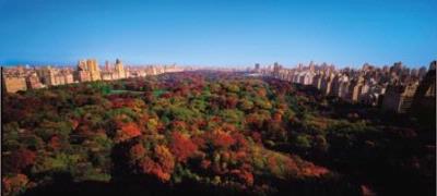 The Ritz Carlton New York Central Park - Overlooking Central Park