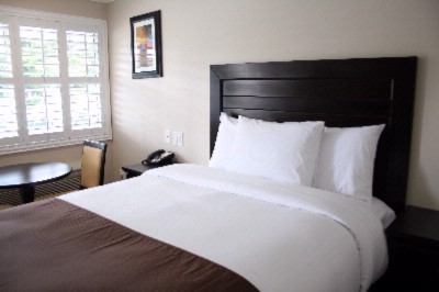 Americas Best Value Inn - Room
