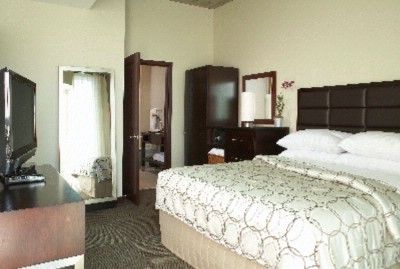 Twelve Hotel Centennial Park - 
