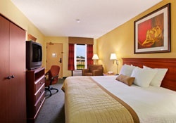 In Jacksonville On Business Or Pleasure You'll Love One Of Our King Rooms!