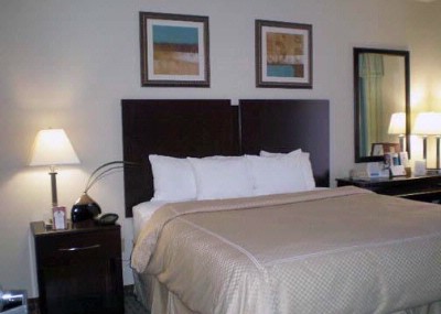 Comfort Suites Olive Branch Ms - King Suite