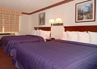 Quality Suites - 