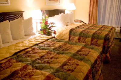 Country Inn & Suites - 2 Queen Serta Plush 2000 Bed Standard Room