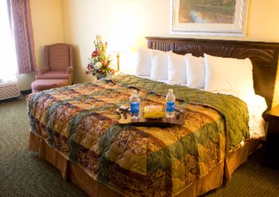 Country Inn & Suites - Exectuive King Serta Plush 2000 Bed Standard Room