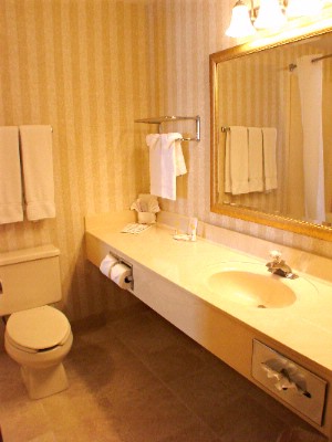 Comfort Inn Utica - Beautifully Renovated Bathrooms