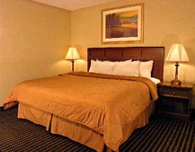 Comfort Inn Utica - Standard King Guest Room