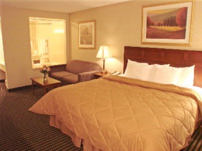 Comfort Inn Utica - King Whirlpool Available With Or Without Opening For Tv Viewing
