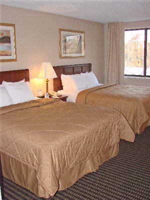 Comfort Inn Utica - Standard Queen Queen Guest Room