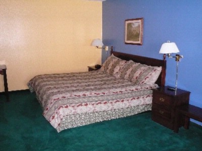 Rodeway Inn - 