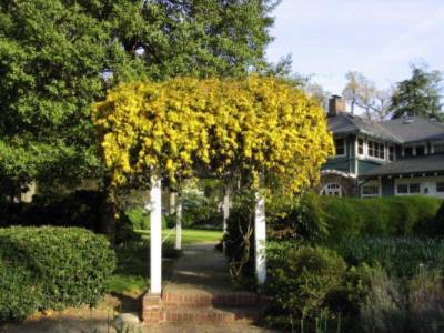 Vanlandingham Estate - 