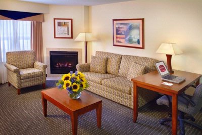 Residence Inn by Marriott - Stuido Living Area