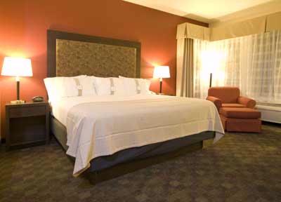 Holiday Inn at Mcmurry Park - 