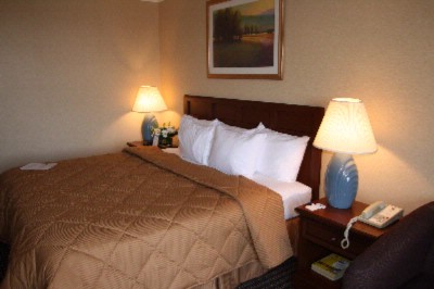 Comfort Inn Livonia - Standard King