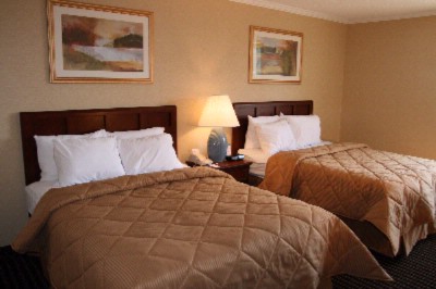 Comfort Inn Livonia - Standard Queen Queen
