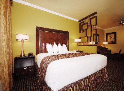 Best Western Christopher Inn & Suites - King Suite