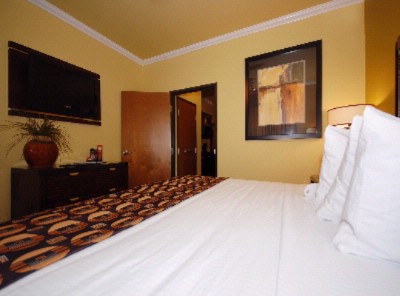 Best Western Christopher Inn & Suites - Guest Room With One King Bed