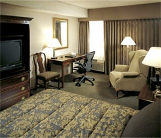 Comfortable Room Working for You