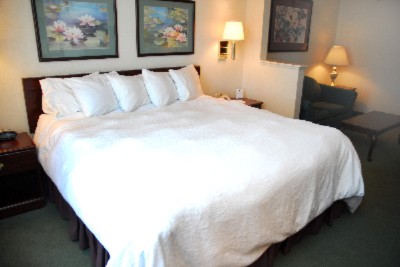 Comfort Suites - 
