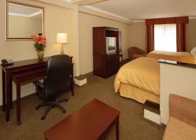 Comfort Suites Downtown Athens - Room1