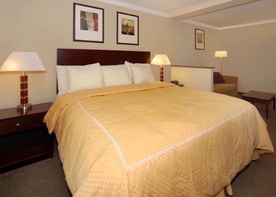 Comfort Suites Downtown Athens - King Suite With Sitting Room