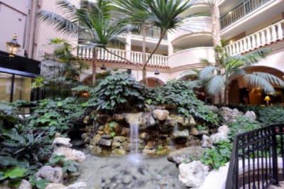 Embassy Suites - Our Tranquil Waterfall