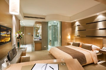 Deluxe Room (the Basic Room Type)