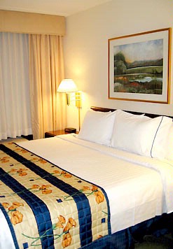 Springhill Suites by Marriott - King Bed