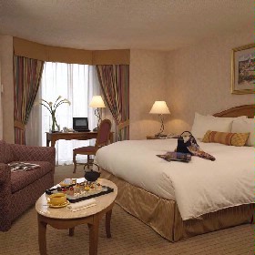 Rosemont Hotel at O'hare - 