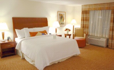 Hilton Garden Inn / Coastal Grand Mall - One King Bed Evolution Room