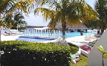 Garden area