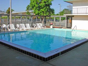 Village Inn - Outside Pool
