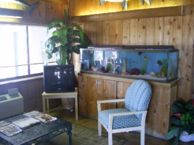 Village Inn - Lobby Area