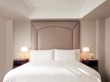 Luxurious Deluxe King Guestroom