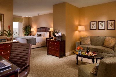 Ayres Hotel & Spa Mission Viejo - King Studio Room