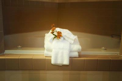 Phoenix Inn Suites - Jacuzzi Room
