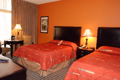 Park Plaza Hotel - Two Double Bed Room