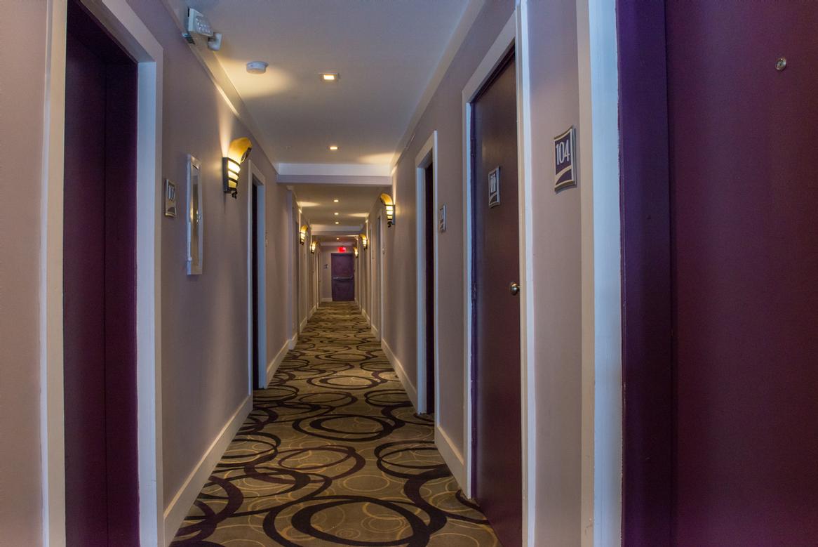 Shelly Hotel - 