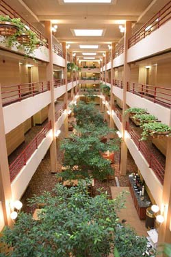 Beautiful Atrium Style Lobby