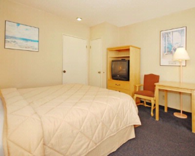 Comfort Inn Santa Monica - Room With 1 Bed