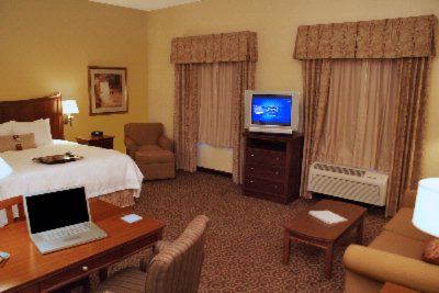 Hampton Inn & Suites Red Bluff - King Size Room