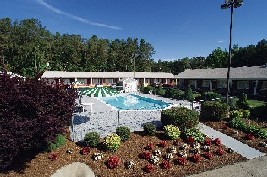 Yorktown Motor Lodge - Swimming Pool