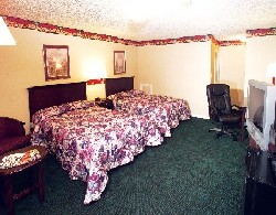 Yorktown Motor Lodge - Double Room