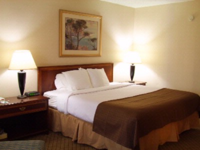 Ramada Plaza Dayton - King Room