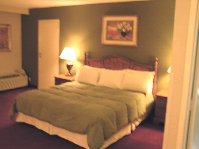 Ramada Airport South & Conference Center - 