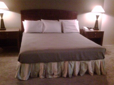 Ramada Airport South & Conference Center - Another One Of Our Retro Renovation Styles