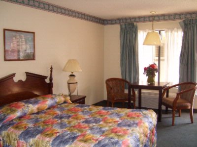 Alamo Inn & Suites - Standard Single